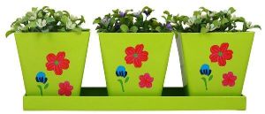 Square Herb Set Of Three Planter