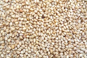 sesame seeds