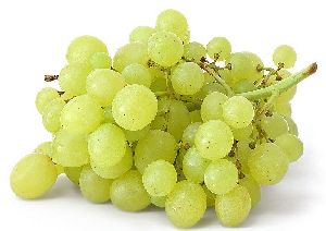 fresh grapes