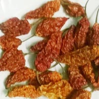 Bhut Jolokia Peeper Dried Pod /ghost Chilli Pepper Pod -spices