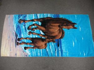 Beach Towel