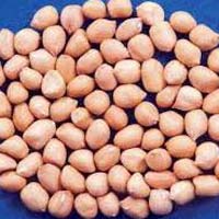 groundnuts