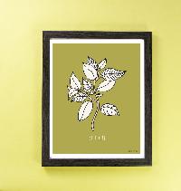 Beech Leaf Art Print