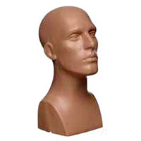 Male Head Mannequins