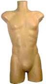 Male Table Top Torso Mannequin Form