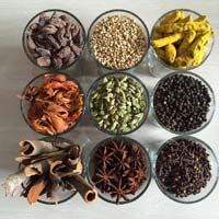 all types of spices