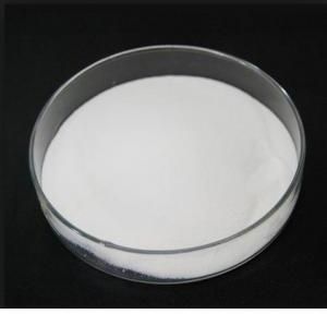 bcaa powder