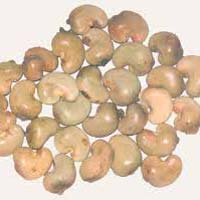 raw cashew nuts