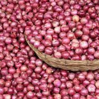 fresh red onion