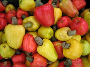 Cashew Fruit Juice Concentrate Cashew Fruit Juice Concentrate