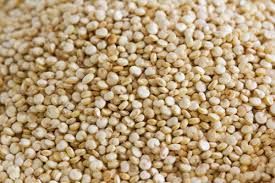 Organic White Quinoa