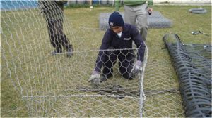 Gifts, Handicrafts & Artifacts