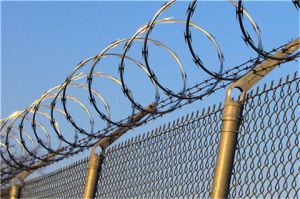 Razor Wire