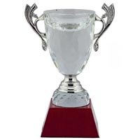 Award Cups
