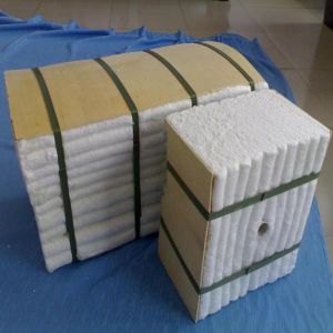 Ceramic Fiber Module