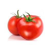 fresh tomato