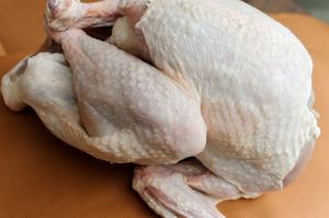 Halal and Non Halal Frozen Whole Chicken Grade A Halal and Non Halal Frozen Whole Chicken Grade A