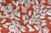 Medium White Rice