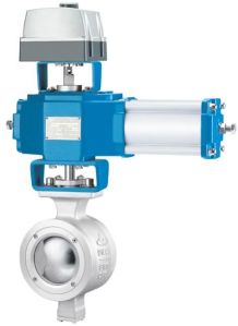 Segment Ball Valve