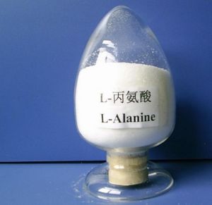 L-alanine Chinese Supplier