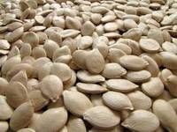 GWS Pumpkin Seeds Kernels AA