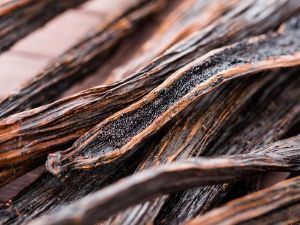 Madagascar Vanilla Bean