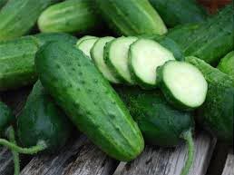 fresh cucumber