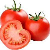 fresh tomato