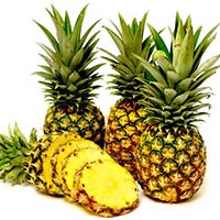 Fresh Pineapple