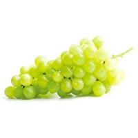 fresh grapes