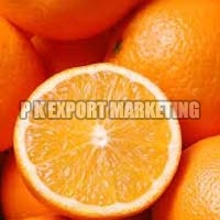 Citrus Fruit