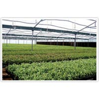 Greenhouse Farming