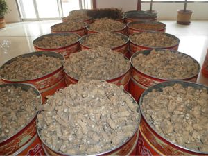 Ginseng Extract Ginseng Extract