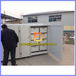 Hot Selling Bean Sprout Growing Machine