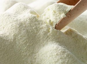 milk powder