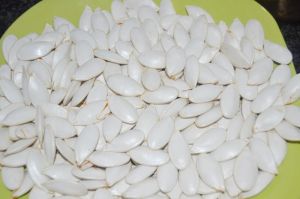 Snow White Pumpkin Seed