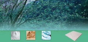 Calcium Sulphate Anti Static Raised Floor System