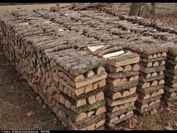 Timber Logs
