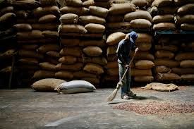 cocoa beans,  Material : Cocoa Beans