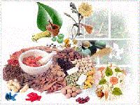 Herbal Food Supplements