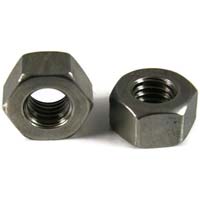 Hex Nuts