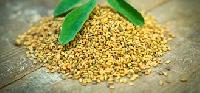 fenugreek seeds