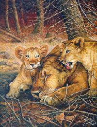 Paintings of wild animals