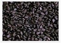 Indian Natural Sesame Seeds Black