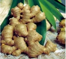 fresh ginger