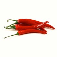 Fresh Red Chilli