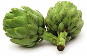 Tunisian Artichoke Tunisian Artichoke