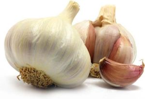 Tunisian Garlic Tunisian Garlic