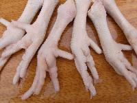 Grade A Frozen Chicken Feet, Paws and Other Parts Available