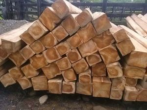 teak wood